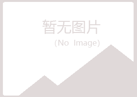 黄山区海露造纸有限公司